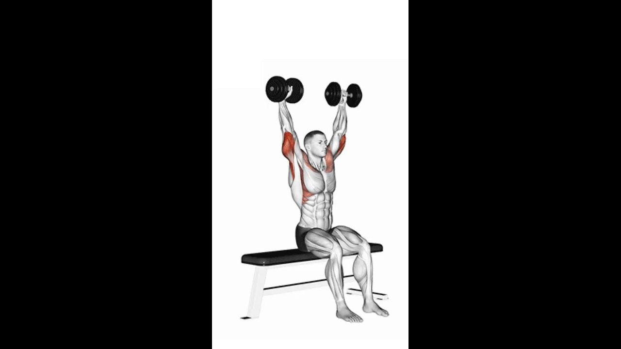 Dumbbell Seated Front and Back Tate Press Exercise.
