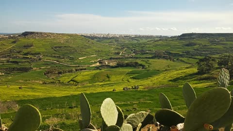 Zebbug Gozo 15.01.2025