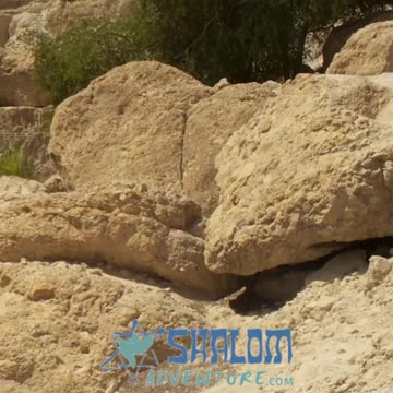 Discover the Surprising Story Behind Israel's Stones