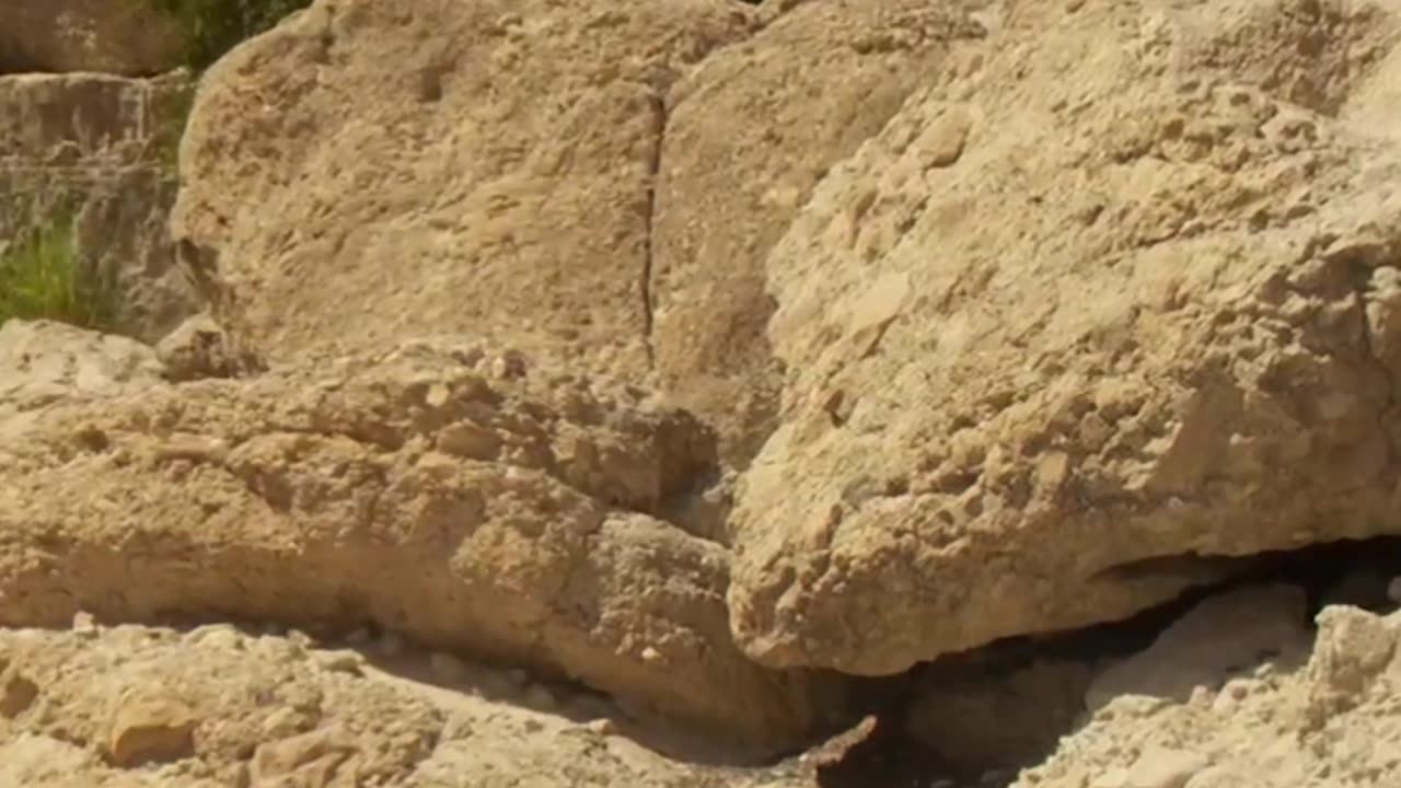 Discover the Surprising Story Behind Israel's Stones