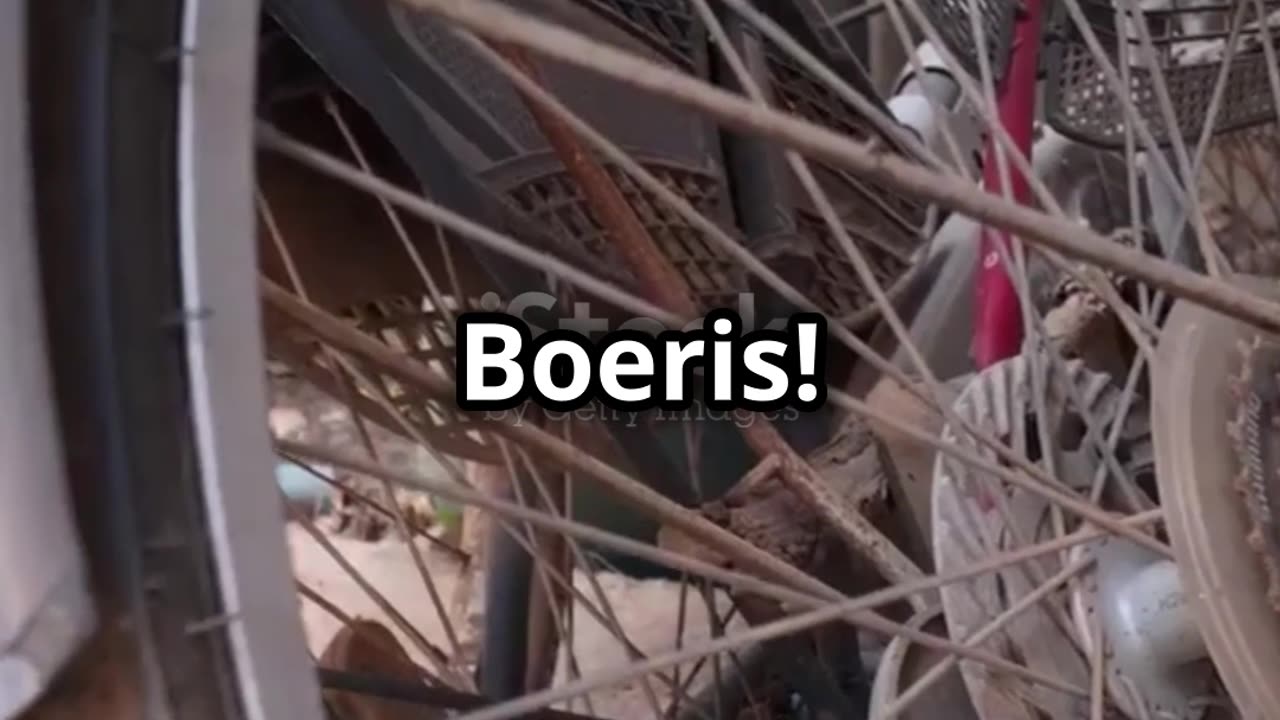 Boeris_ La Bicicletta Italiana Personali