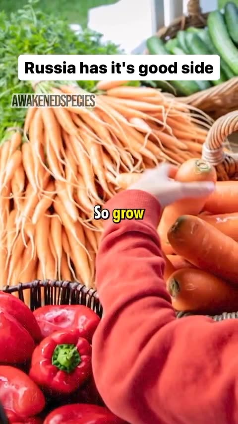 This should be a law everywhere, imagine living in a country completely opposite