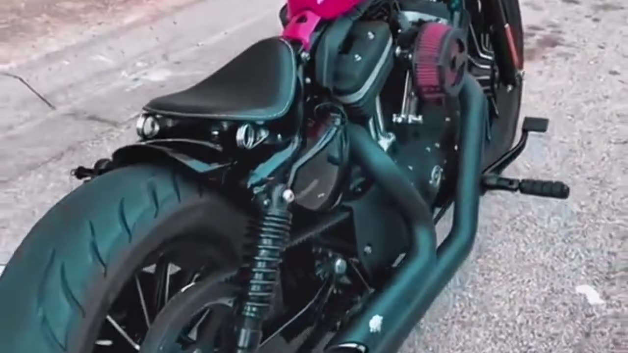 Custom 281