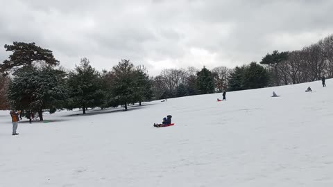 Snow Day at Owl's Head Park