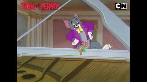 Tom and Jerry😺🐭The best chaotic friendship ever|funny video