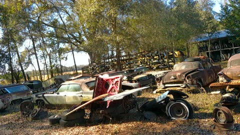 Falling Down Garages Full of Barn Find 50s and 60s Muscle cars