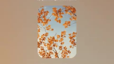 Amber Skies V2