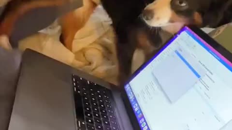 Working From Home