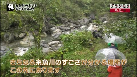 ブラタモリ 「糸魚川～君は糸魚川の本当のすごさを知っているか？」