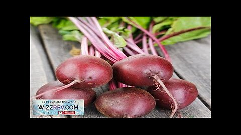 Beet Early Wonder – Seeds Review