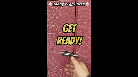 🥚 Today’s Egg Check! 🥚