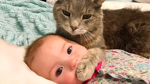 Funniest Baby And Cat Are Best Friends