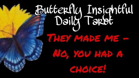 Butterfly Insightful Daily Tarot - They made me do it!