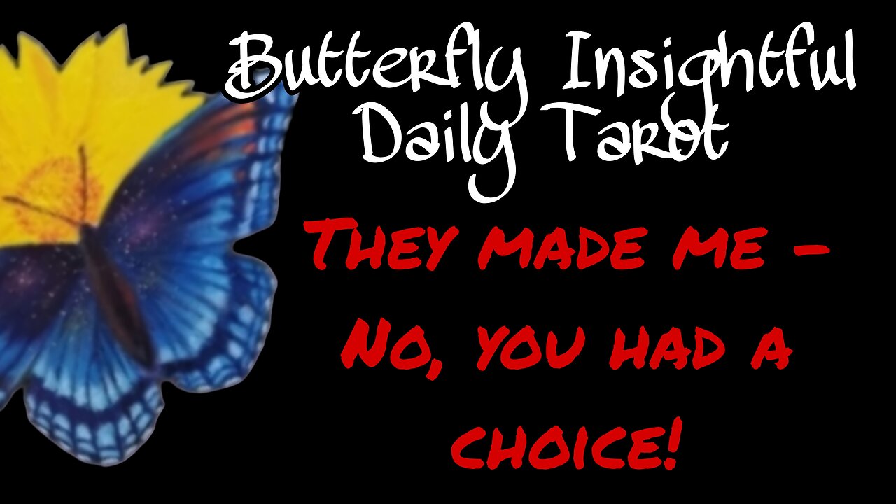 Butterfly Insightful Daily Tarot - They made me do it!