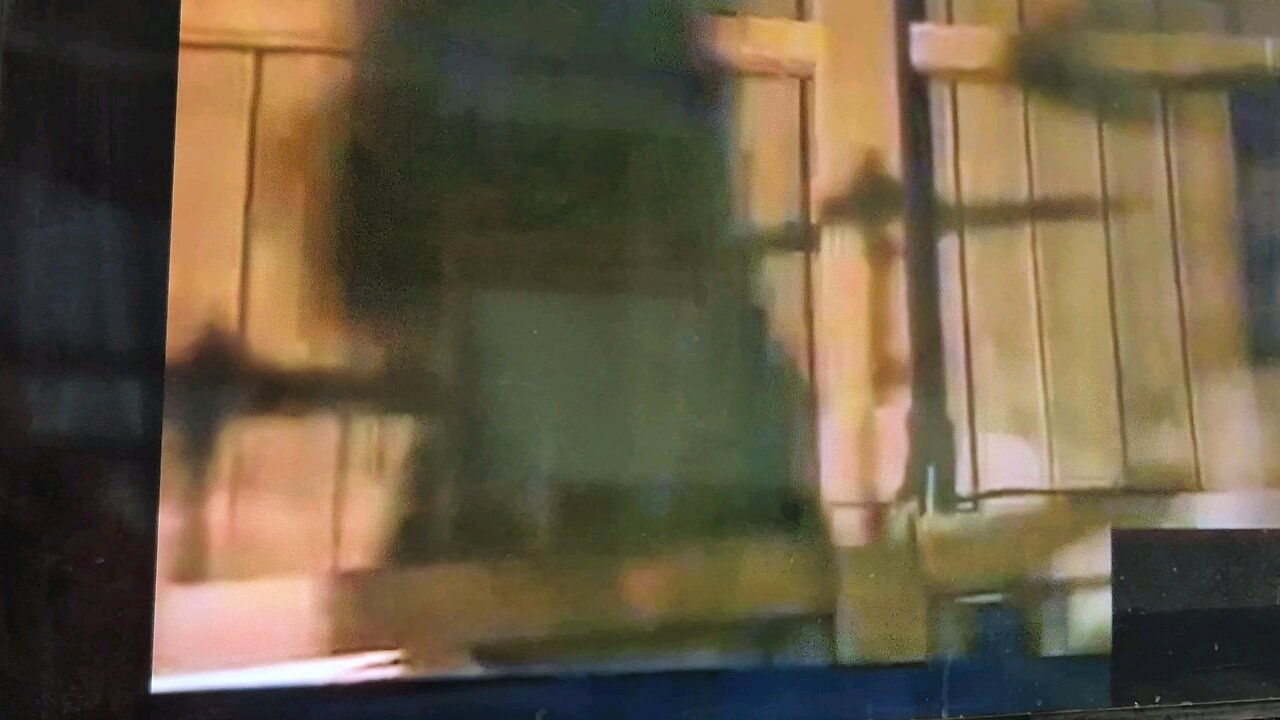 dailynutpunch 2/13 round 2 triple play Thursday