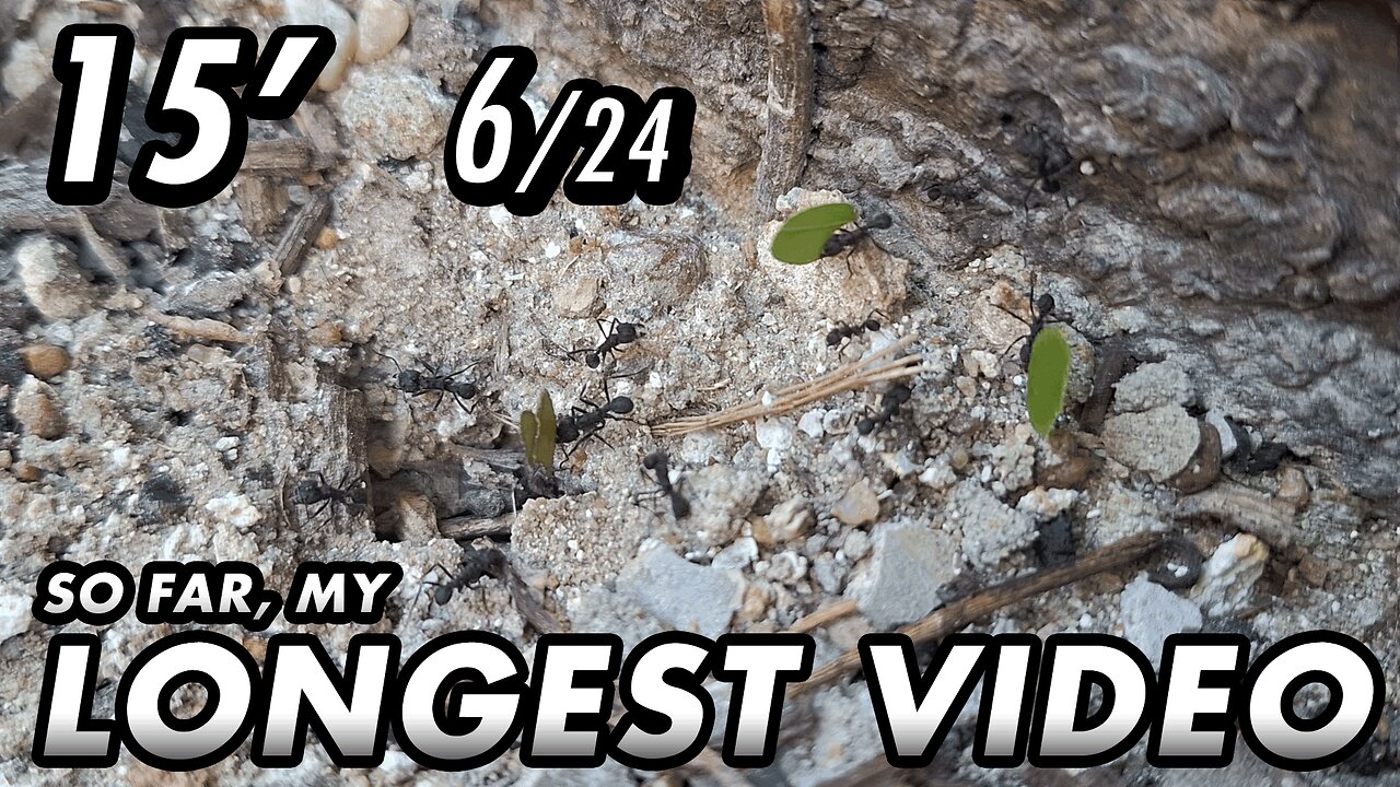 ASMR - 1st year of the channel! Finally, I can upload longer videos - 15' 6/24