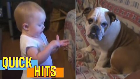 Baby Makes a Valid Argument - AFV