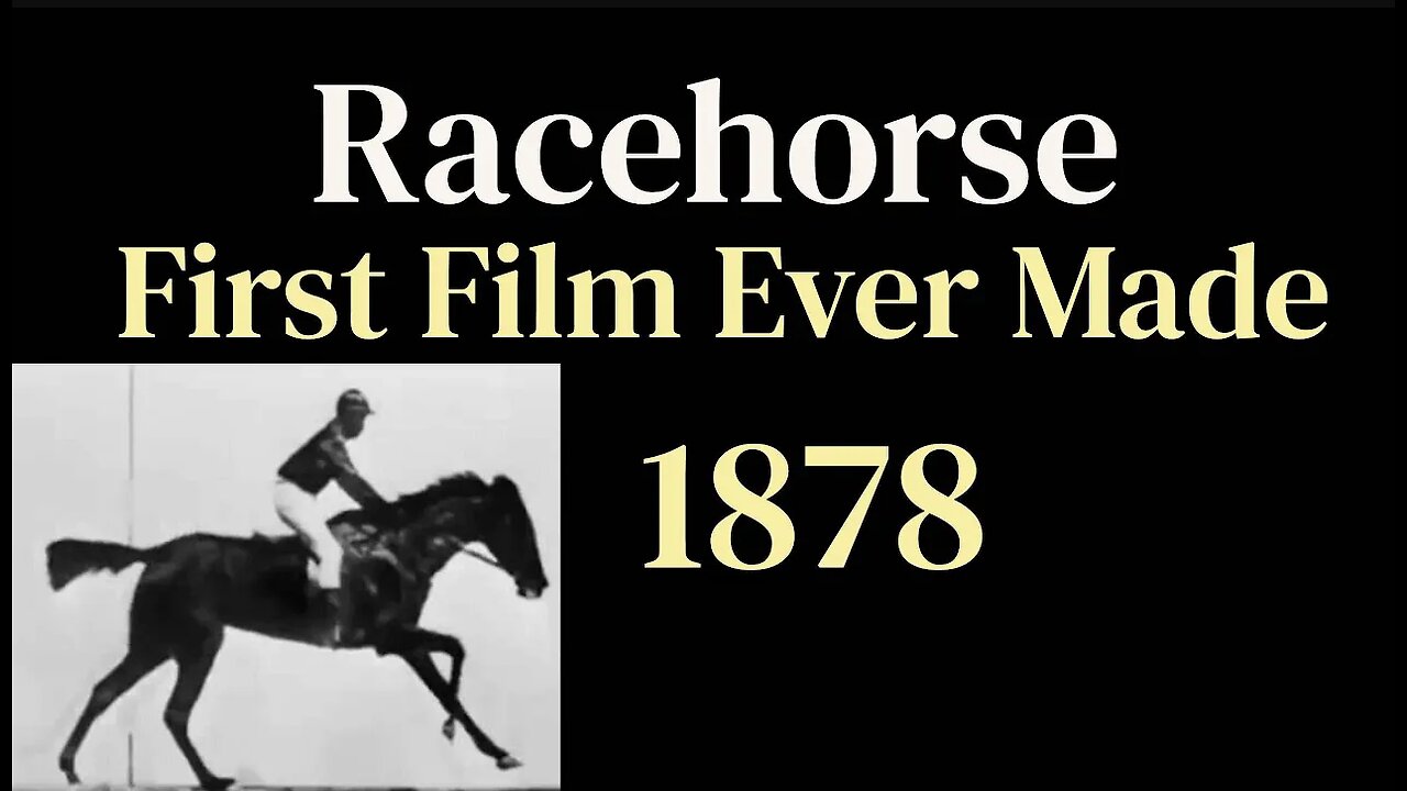 Racehorse (First Film Ever Made) 1878