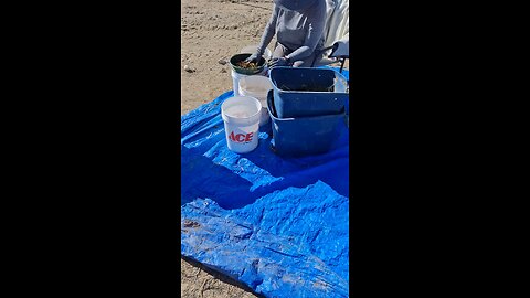 Wife worm farming