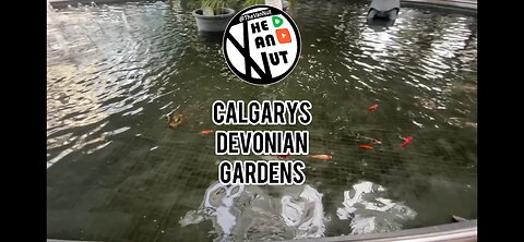 Devonian Gardens Calgary Police Walkabout #cops #walkabouts #devonian #garden #thevannut #police