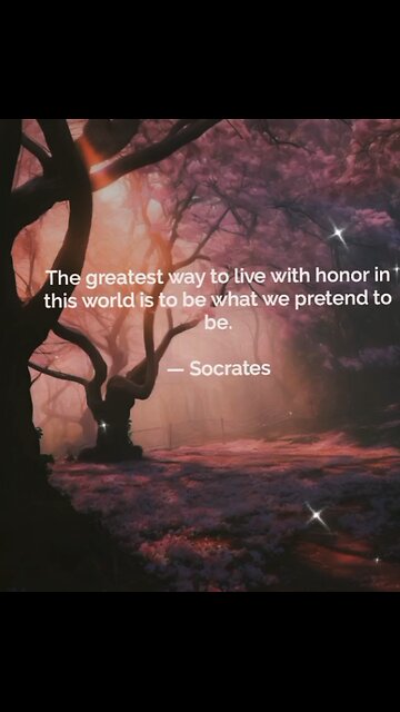 Your Qoute For A Day 287