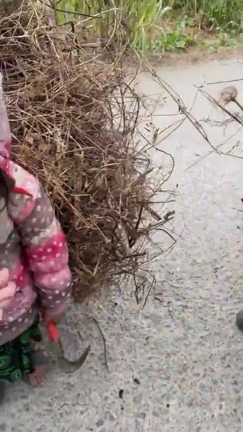 Modern slavery - No children should work