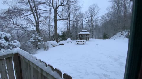 NW NC at The Treehouse Winter Wonderland /Annie & Bonham love the snow Don’t forget about the birds