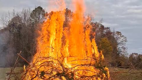 Burning a brushpile of invasives.