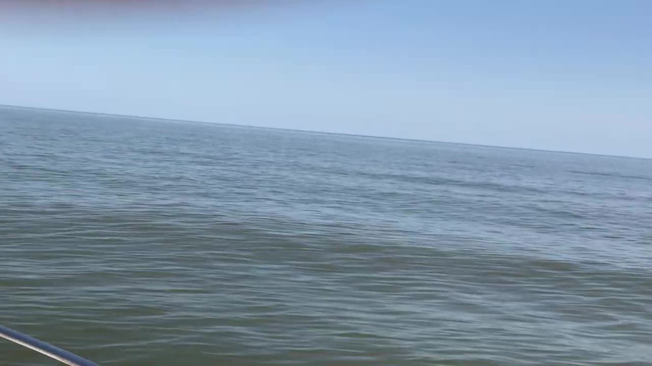 Gulf of Mexico - 30 miles from BSL-2019 - shorts