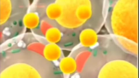 4 examenes importantes para determinar su salud.