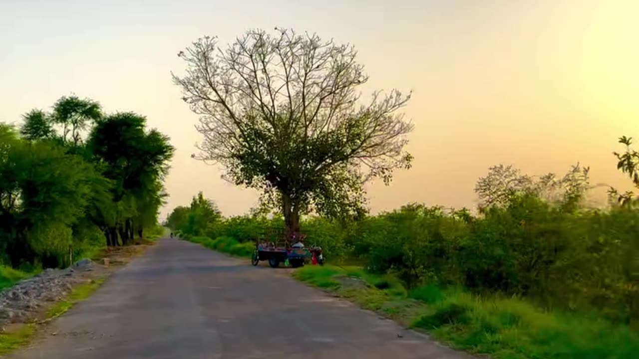 Village Life & Village Nature | Beautiful Rural Scenes of My Village | max RECORDS