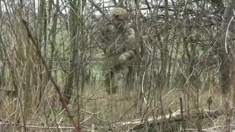 After the capture of Velyka Novosyolka