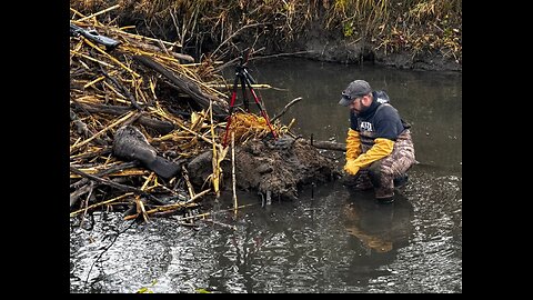 2024-25 opening day trapping season!!