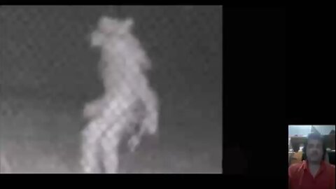 Wolfman Texas zoo. Strange creature caught on camera in Texas zoo. Let's analyze.