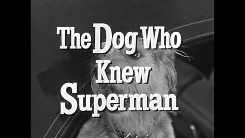 Adventures of Superman - "the Dog Who Knew Superman"