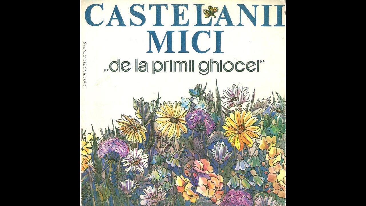 Castelanii Mici-Toti tinerii