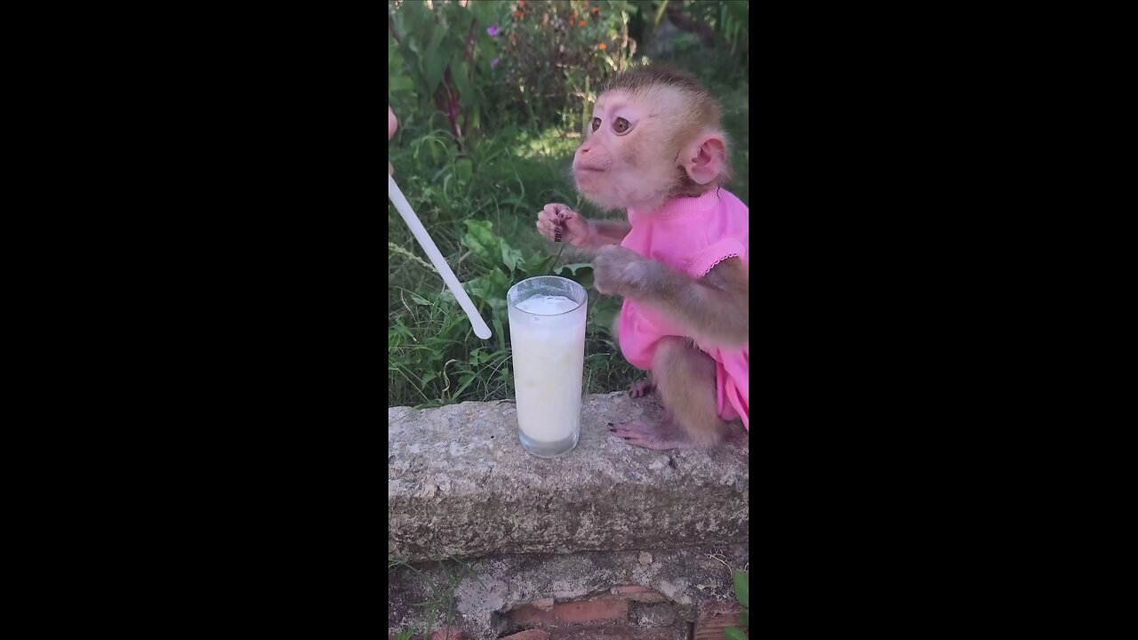 My baby taking breakfast