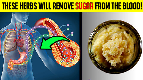 Top 2 Powerful Herbs for Diabetes! (IT REALLY WORKS!)