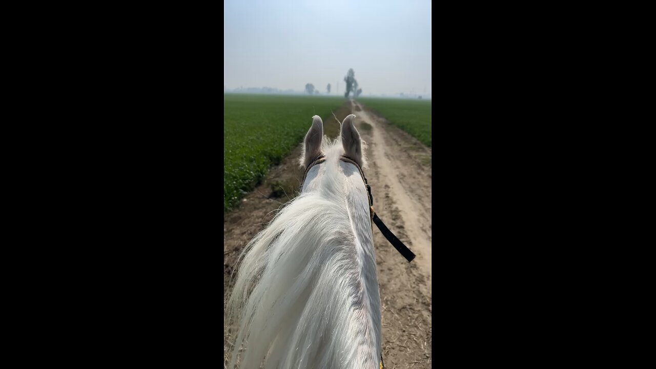 Horse riding