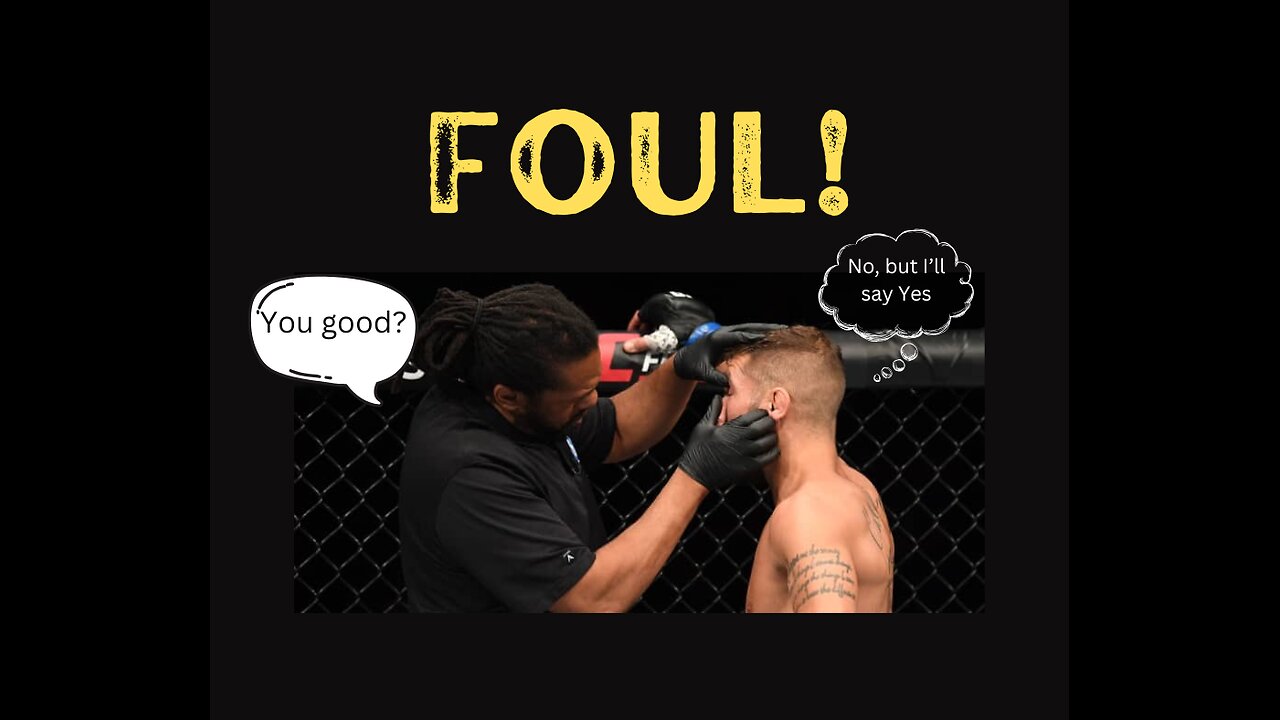 MMA FOULS IN DETAIL