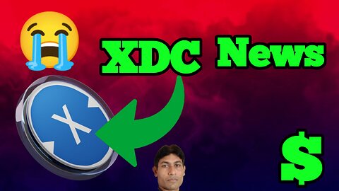 XDC Network Daily Update: Price Decline and Future Prospects