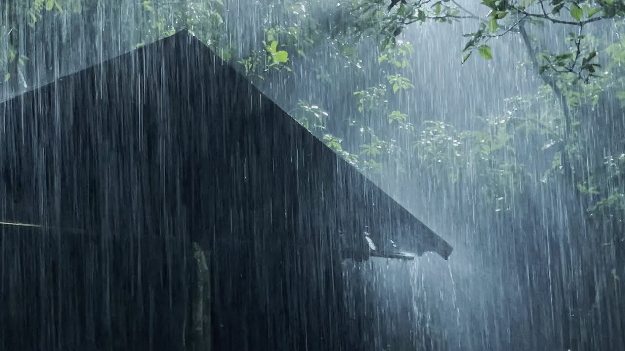 Fall asleep in 5 minutes with this wonderful rain sound in the misty forest at night