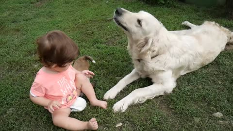 La joacă cu cățelușii ! - Funny baby play with dogs