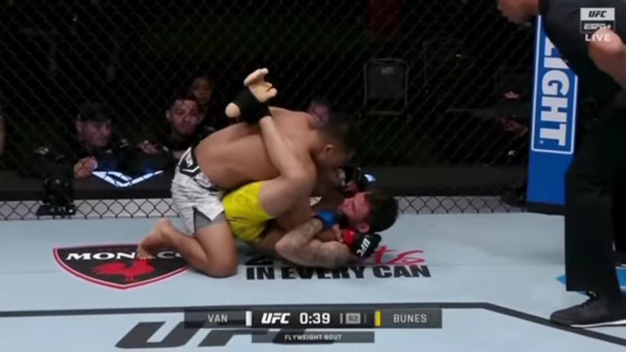 The Best UFC Knockouts!! Of 2024