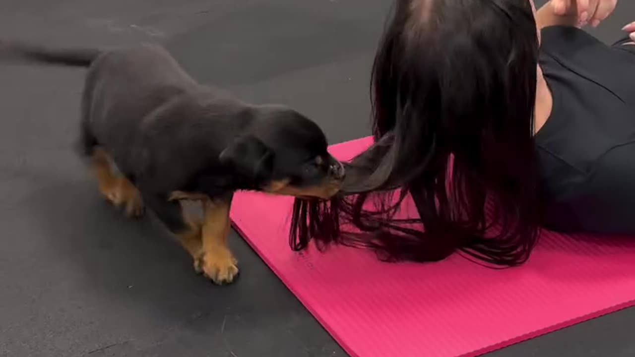 Yoga with puppies