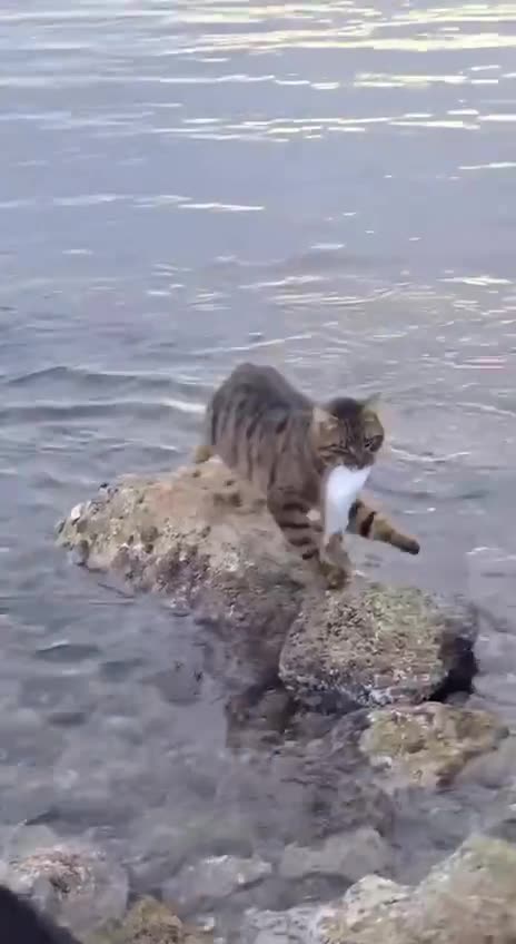 Canada revenue agency explained