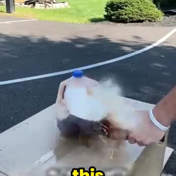 WASP Knife to the Head?! The SHOCKING Truth!