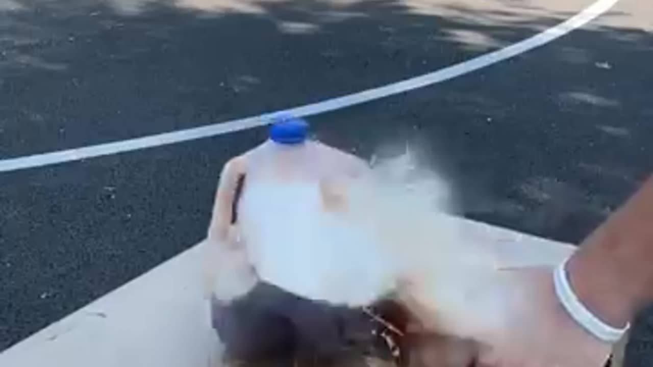 WASP Knife to the Head?! The SHOCKING Truth!