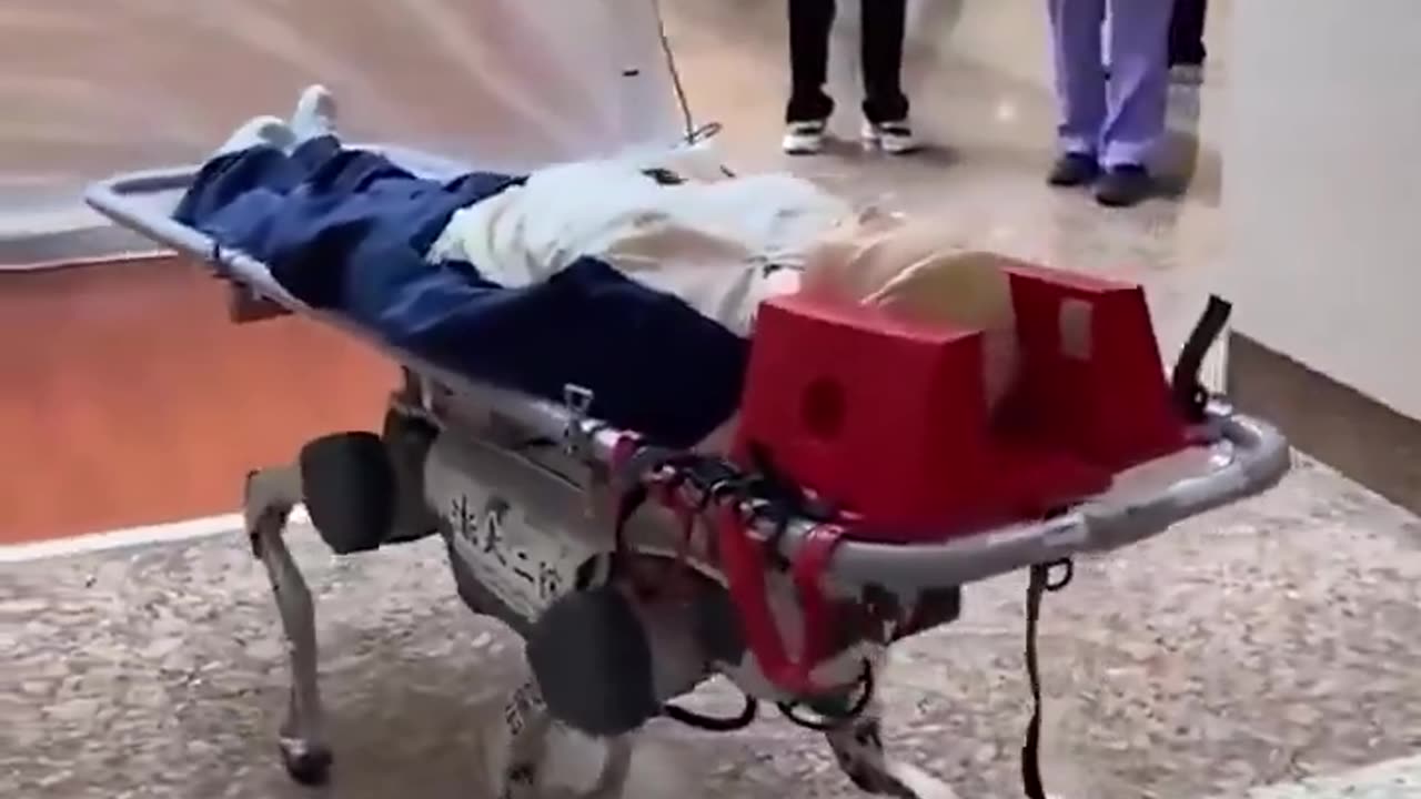 Chinese company is developing robotic dogs to carry patients in emergency situations