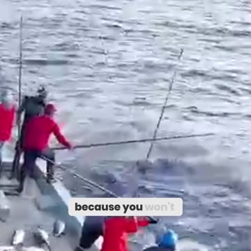 The Fish They Don’t Want You to See! (Shocking Catfish Secrets Exposed)